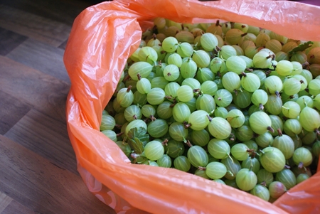 How to brew compote of gooseberries