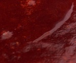 Jam made of rhubarb - photo recipe