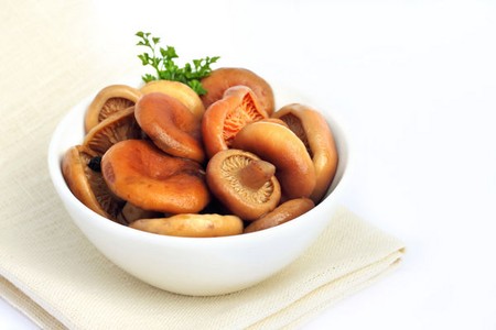 Solim mushrooms swine for the winter Solim mushrooms swine for the winter