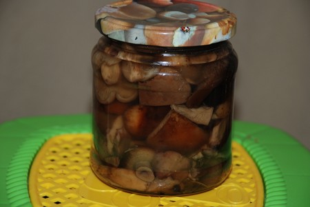 Solim mushrooms swine for the winter Solim mushrooms swine for the winter