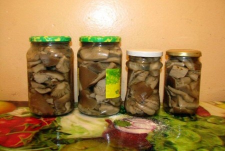 Solim mushrooms swine for the winter