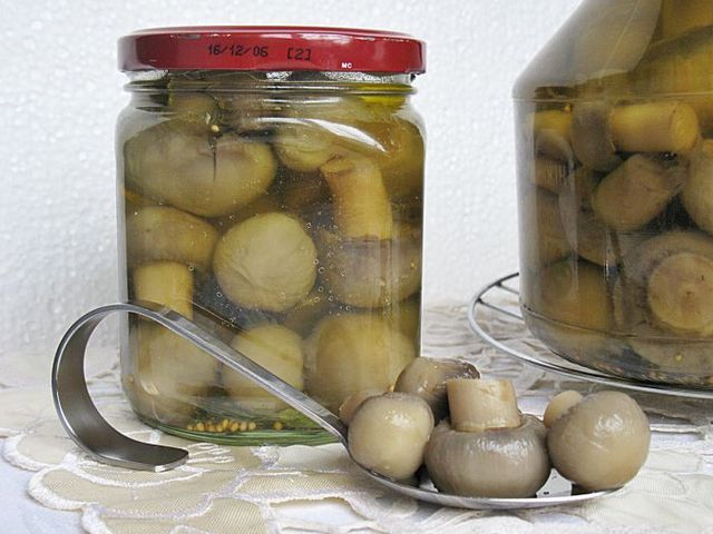 Marinated champignons for the winter, classic recipe Marinated champignons for the winter, classic recipe