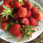 How to close the blanks from strawberries for the winter - photo recipes