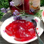 How to close the billet from the currant for the winter