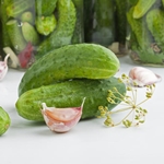 How to pickle cucumbers for the winter without vinegar