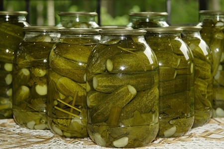 How to pickle cucumbers for the winter without vinegar - photo recipes