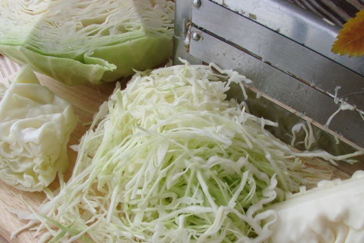 Salting cabbage for the winter