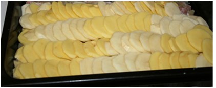 all layers are blotted with mayonnaise a dish oiled with mayonnaise