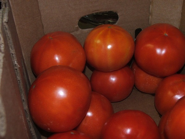 Ketchup by own hands from tomatoes: step-by-step recipes for harvesting for the winter