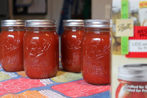 Ketchup by own hands from tomatoes: step-by-step recipes for harvesting for the winter