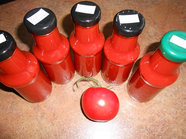 Ketchup by own hands from tomatoes: step-by-step recipes for harvesting for the winter