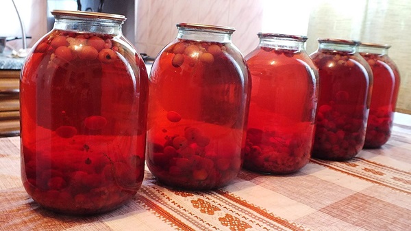 Compote from chokeberry ashberry