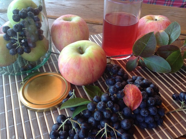 Compote from chokeberry ashberry