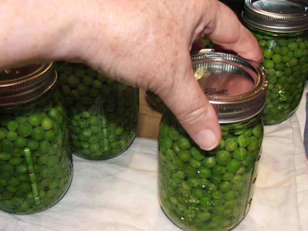 Green peas, canned for the winter at home