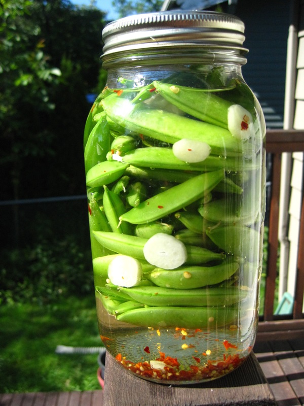 Green peas, canned for the winter at home