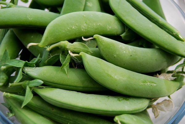 Green peas, canned for the winter at home