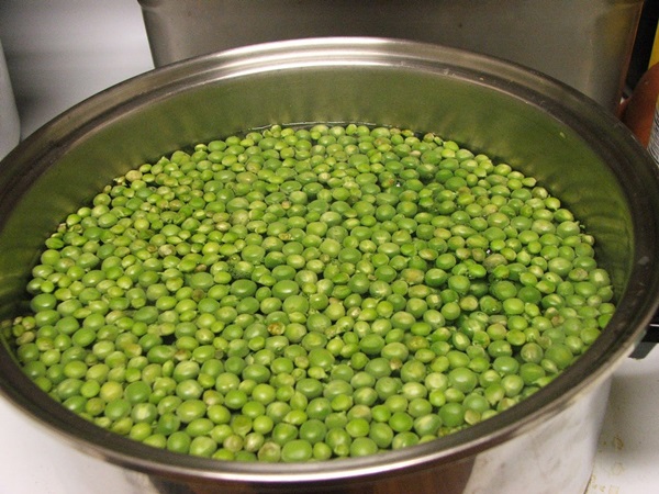 Green peas, canned for the winter at home