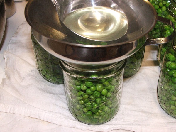Green peas, canned for the winter at home