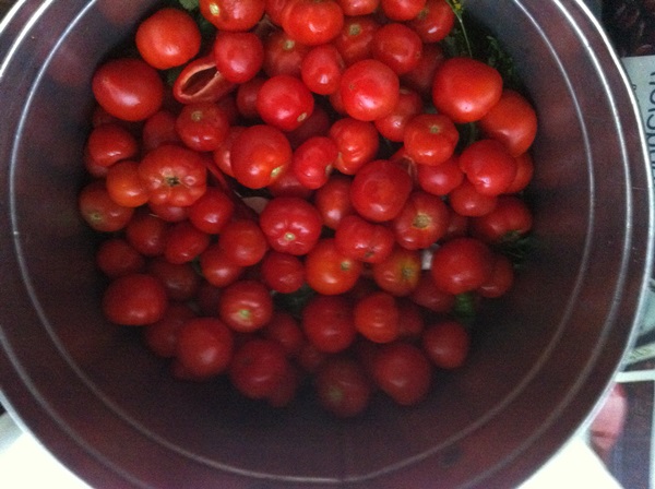 Freshly salted tomatoes in a bag and a saucepan