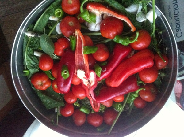 Freshly salted tomatoes in a bag and a saucepan