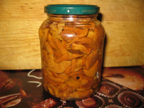 Pickled chanterelle
