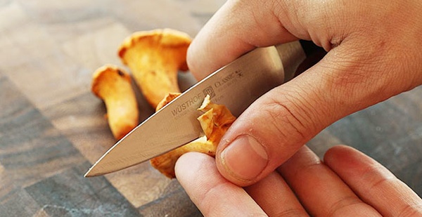 Pickled chanterelle