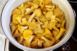 Pickled chanterelle