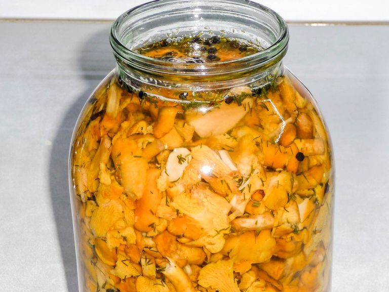 Pickled chanterelle