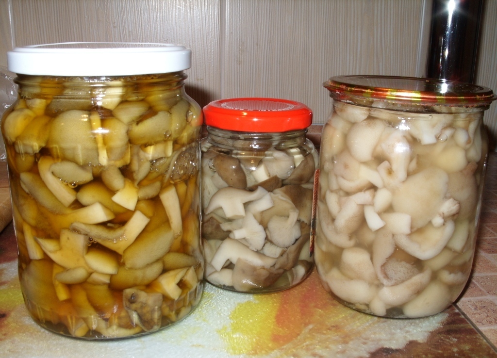 Marinated rowers