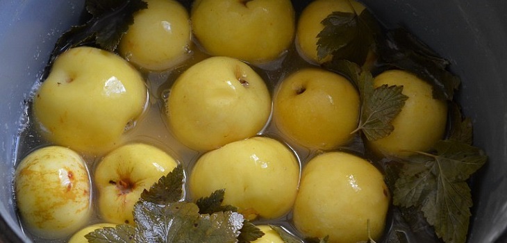 Recipe for Wet Apples