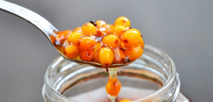 Sea-buckthorn for the winter, the best recipes: with sugar, without cooking, with honey, jelly