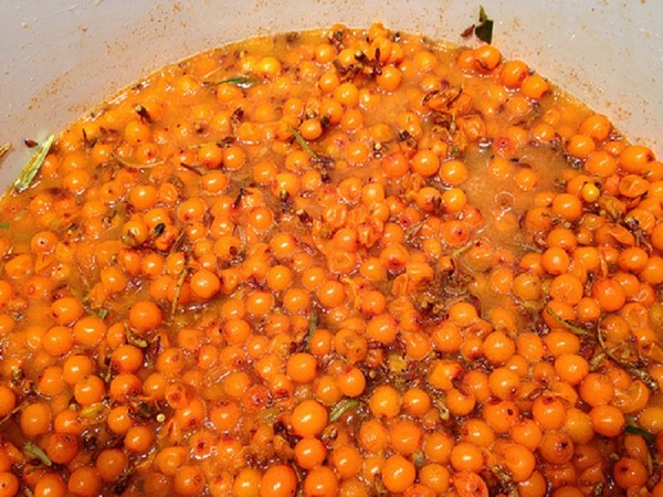 Sea-buckthorn for the winter, the best recipes: with sugar, without cooking, with honey, jelly