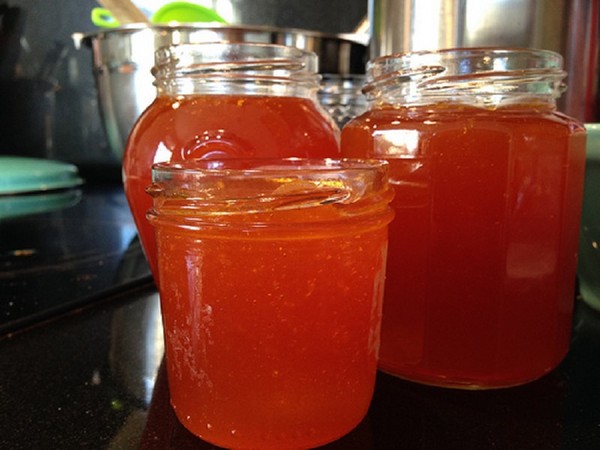 Sea-buckthorn for the winter, the best recipes: with sugar, without cooking, with honey, jelly