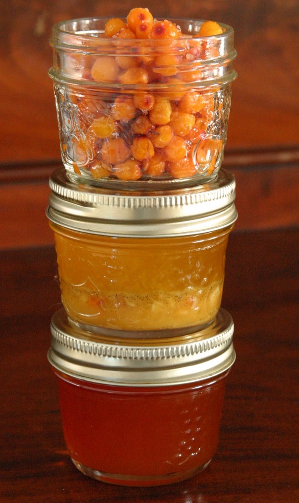 Sea-buckthorn for the winter, the best recipes: with sugar, without cooking, with honey, jelly
