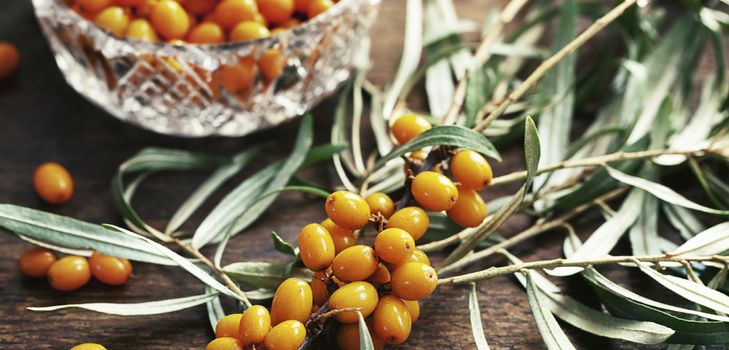 Recipe for jam from sea-buckthorn