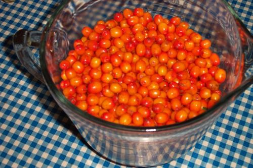 Pasteurized jam from sea-buckthorn