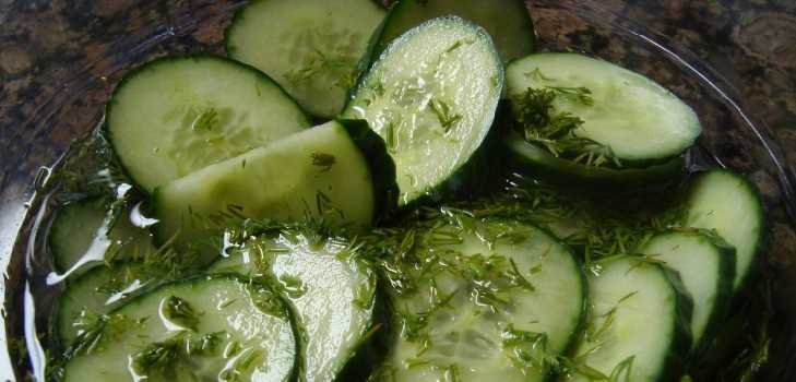 Cucumbers cold way under cap nylon and metal. Picking cucumbers in a cold way for the winter: with mustard, vodka, vinegar free Cucumbers cold way under cap nylon and metal. Picking cucumbers in a cold way for the winter: with mustard, vodka, vinegar free