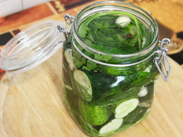 Cucumbers cold way under cap nylon and metal. Picking cucumbers in a cold way for the winter: with mustard, vodka, vinegar free Cucumbers cold way under cap nylon and metal. Picking cucumbers in a cold way for the winter: with mustard, vodka, vinegar free