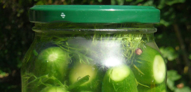 Simple recipes for the conservation of cucumbers for the winter without vinegar