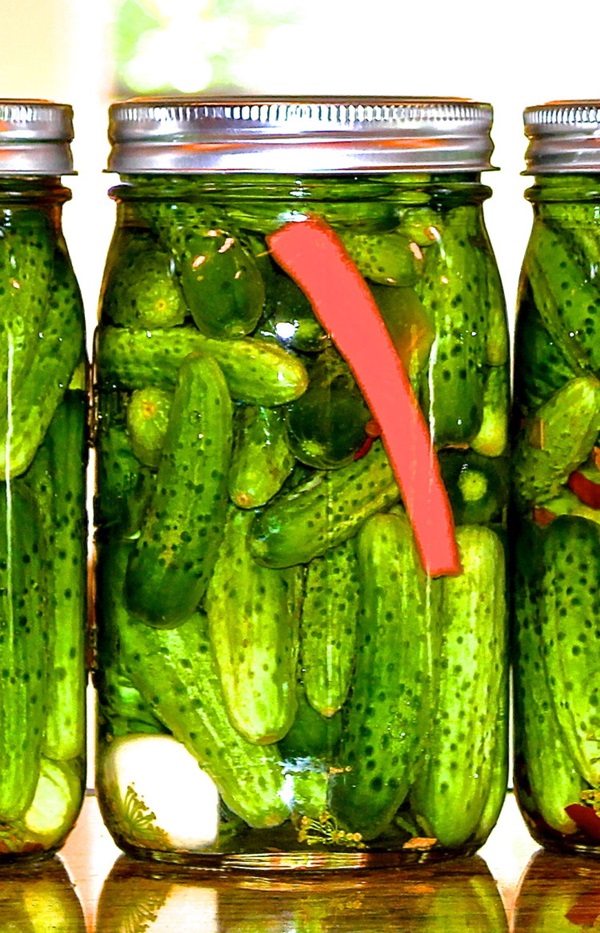 Tasty cucumbers with garlic for the winter