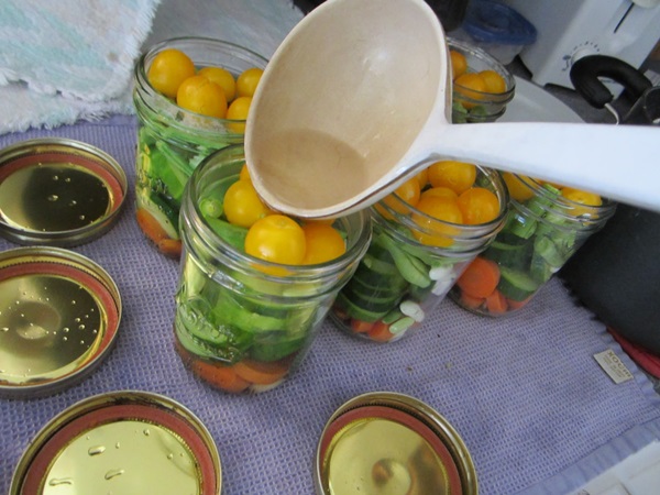 Tasty cucumbers with garlic for the winter