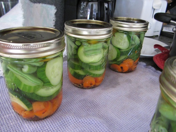 Tasty cucumbers with garlic for the winter