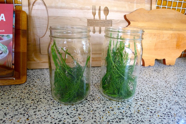 Tasty cucumbers with garlic for the winter