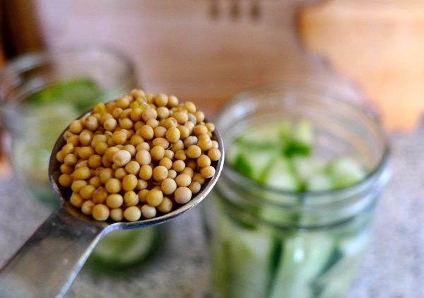 Tasty cucumbers with garlic for the winter