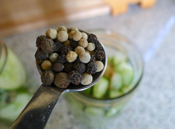 Tasty cucumbers with garlic for the winter