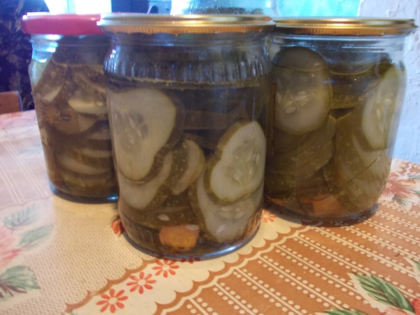 Tasty cucumbers with garlic for the winter