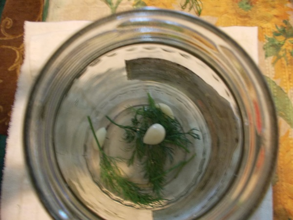 Tasty cucumbers with garlic for the winter