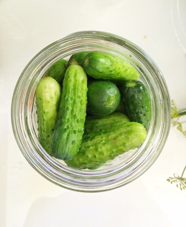 Tasty cucumbers with garlic for the winter