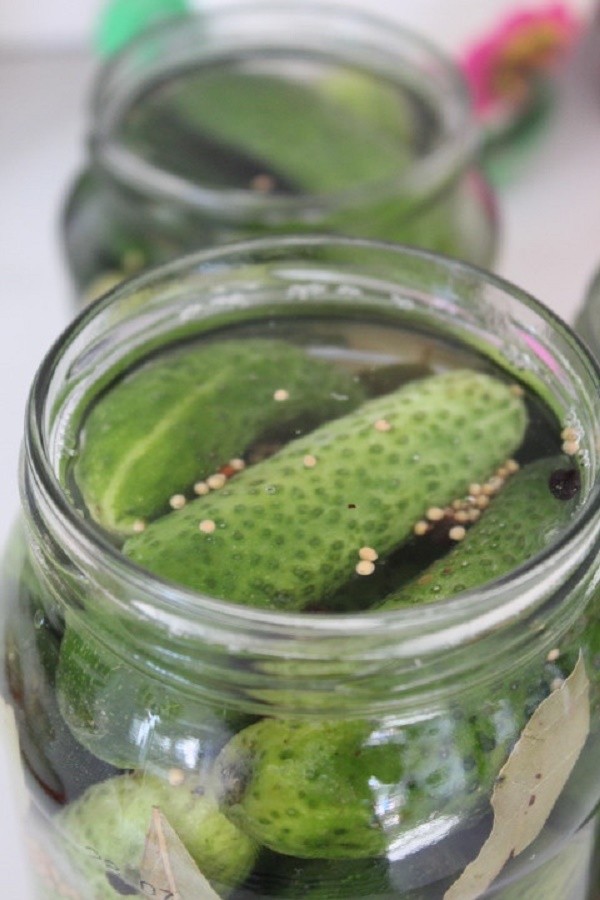 Cucumbers with mustard for the winter in cans, recipes with photo