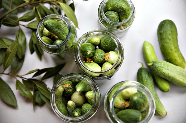 Cucumbers with mustard for the winter in cans, recipes with photo Cucumbers with mustard for the winter in cans, recipes with photo
